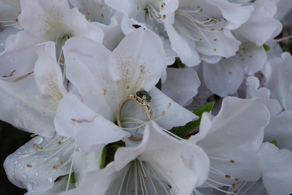 a ring placed in white flowers