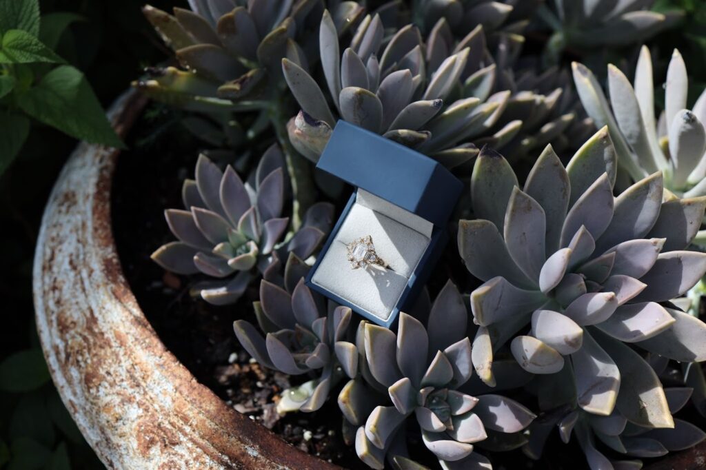 Refresh your ring or sell gold.