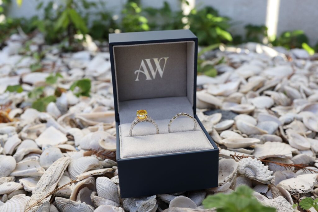 Celebrate love with lasting ring harmony